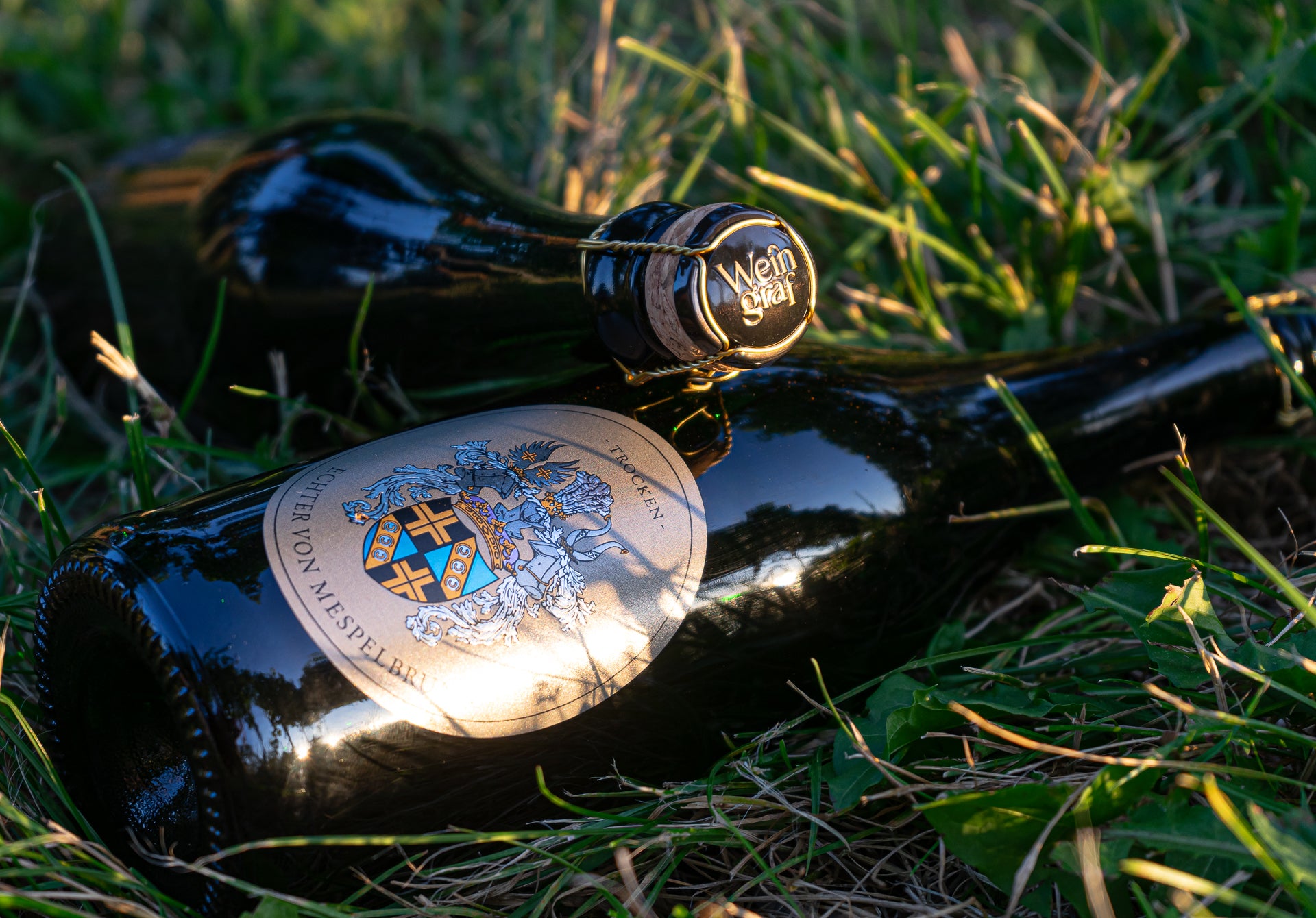 Sekt, Champagner & Co