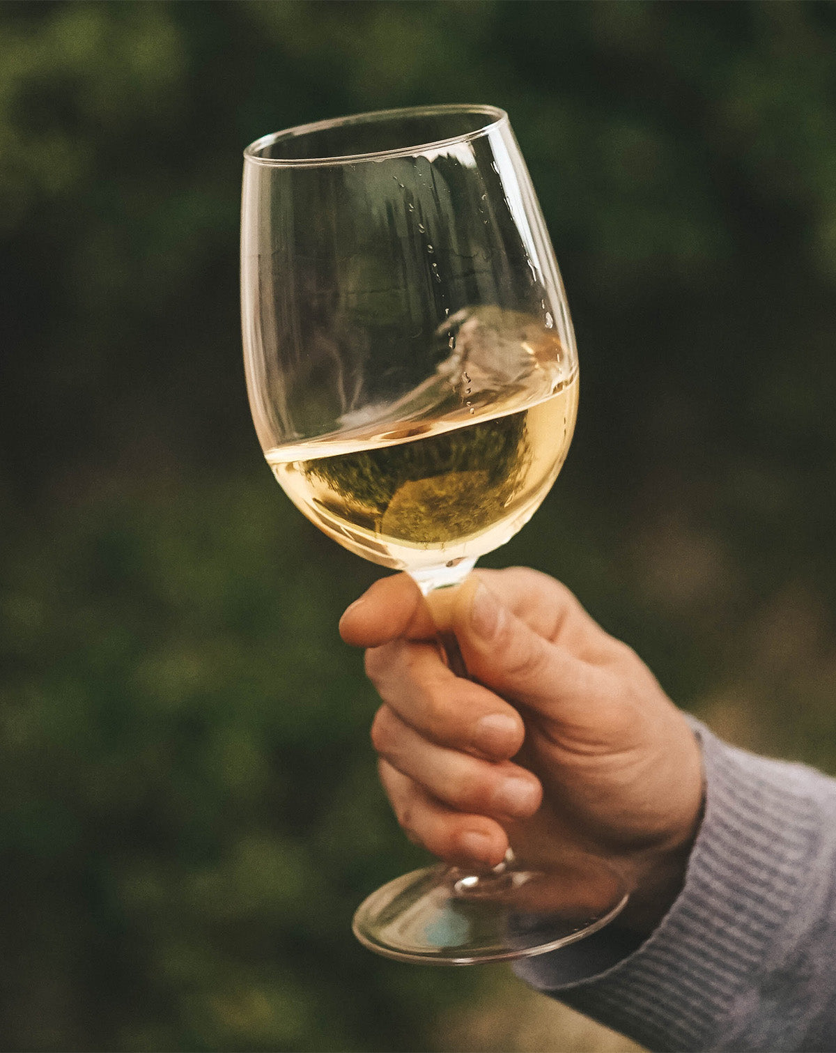 Glas feinherber Wein