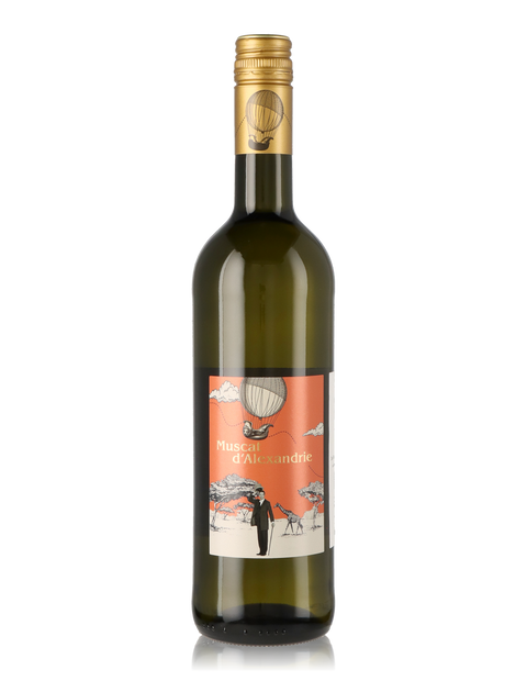 2024 Muscat d'Alexandrie, W.O., sweet, Weingraf-Edition