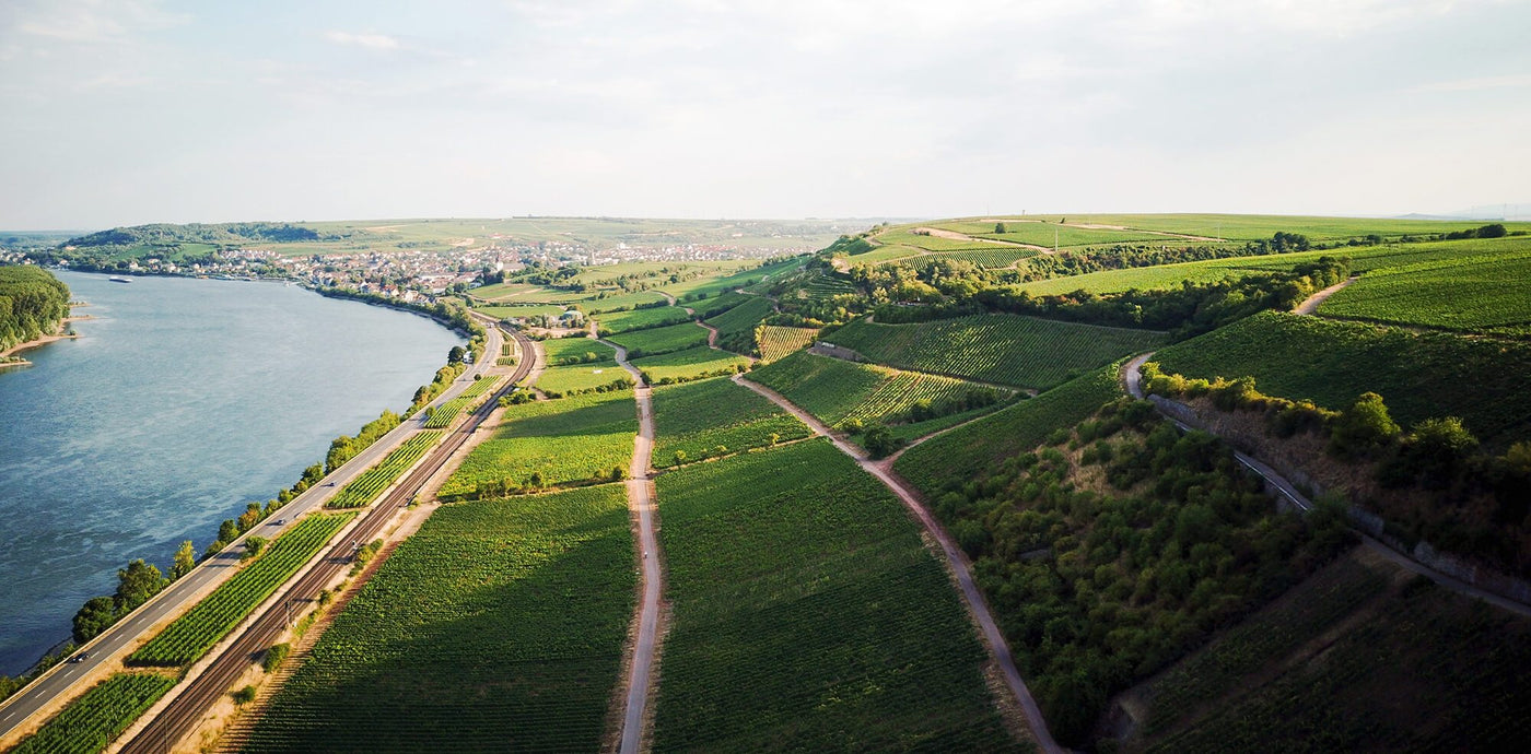 Roter Hang Rheinhessen