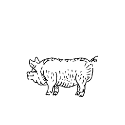 Schwein_4x_TransHG