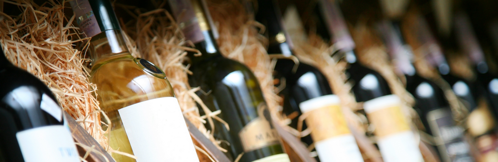 image_5_97024623-cc27-42e6-b71c-f3efc48949c6