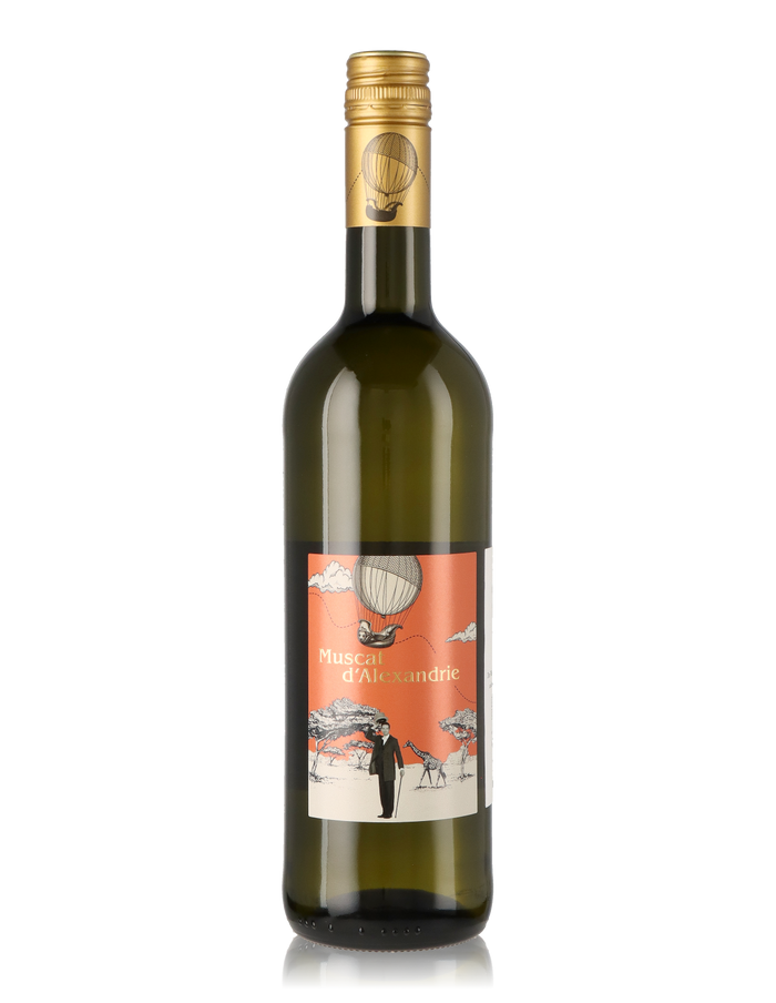 2024 Muscat d'Alexandrie, W.O., sweet, Weingraf-Edition