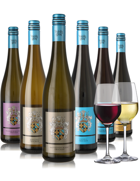 6er Weinpaket trockene Weine aus Rheinhessen inkl. 2 Weingläser