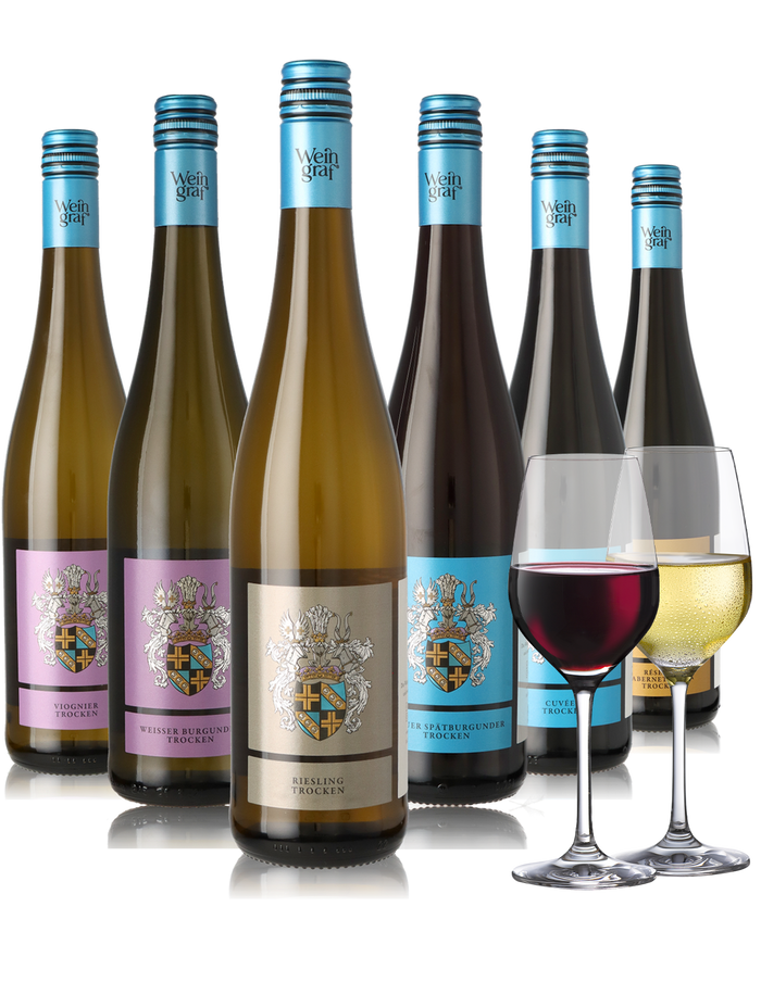 6er Weinpaket trockene Weine, weiß und rot aus Rheinhessen inkl. Gläser