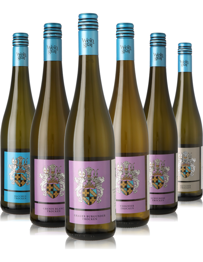 6er Weinpaket Weißwein aus Rheinhessen, trocken