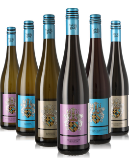 6er Weinpaket trockene Weine, weiß und rot aus Rheinhessen