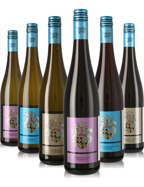 6er Weinpaket trockene Weine, weiß und rot aus Rheinhessen