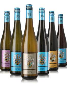 6er Weinpaket trockene Weine, weiß und rot aus Rheinhessen