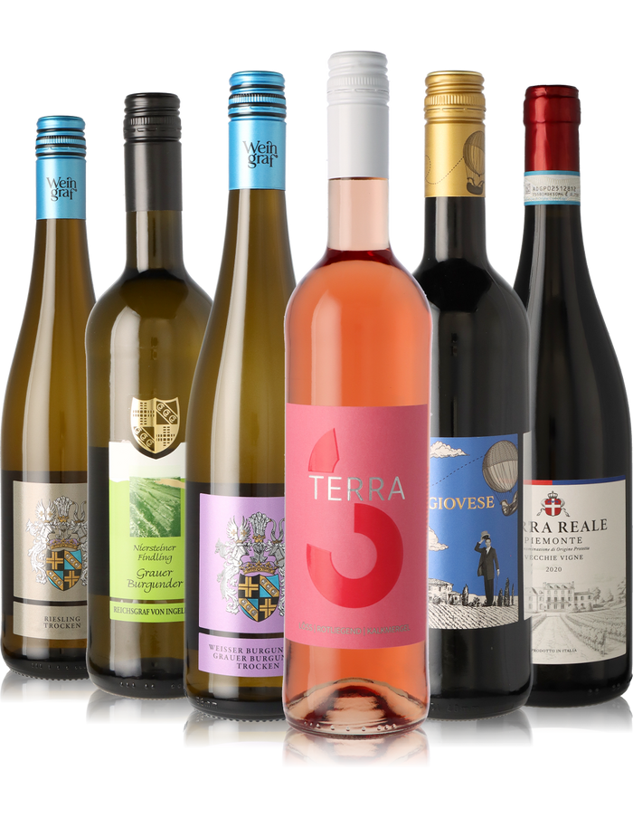 Premium 6er Weinpaket trocken inkl. Thermosflasche