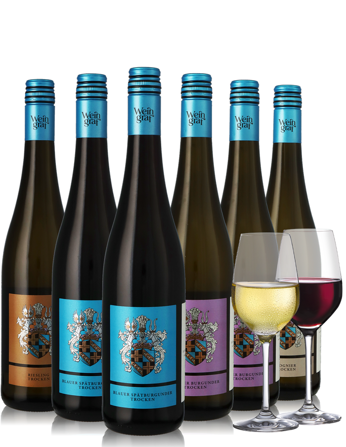 6er Weinpaket trockene Weine, weiß und rot aus Rheinhessen inkl. 2 Gläser